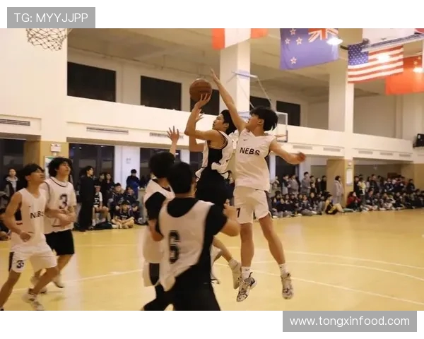 篮球新纪元：探寻技术革新与全球化背景下的运动发展趋势