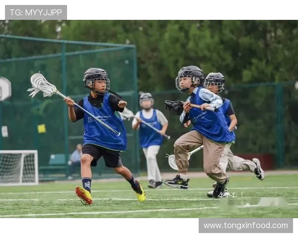 全面提升体能与竞技水平的运动科学研究与实践探索