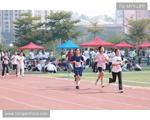 激情燃烧的赛场上青春与梦想在体育竞技中闪耀辉光