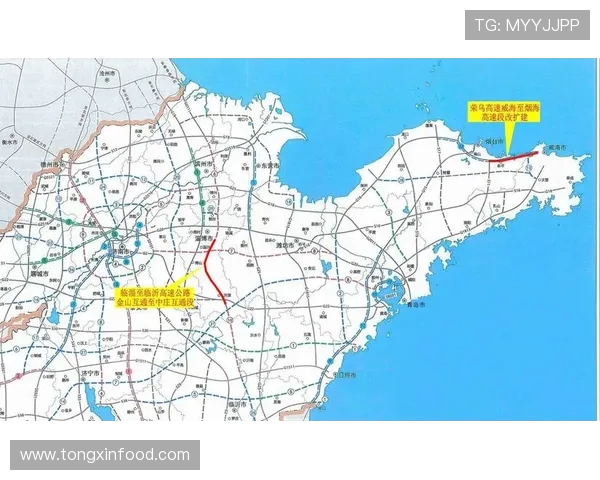 山东高速建设提速助力经济发展 交通网络升级推动区域一体化进程