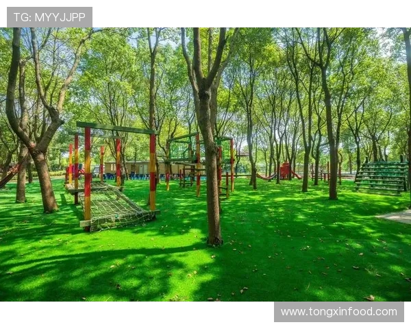 全球体育赛事激情碰撞展现运动精神与团队力量引领竞技巅峰新时代 全球体育赛事激情碰撞展现运动精神与团队力量引领竞技巅峰新时代