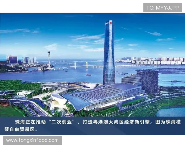 足球世界的崛起与变革：从传统竞技到全球化商业帝国的精彩历程