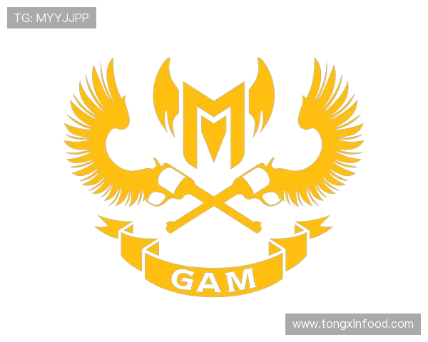 GAM Esports战队崛起之路越南传奇力量再塑国际赛场新辉煌
