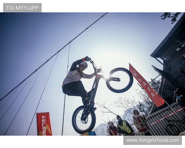 全方位探索运动的力量：从健身到竞技，提升身体与心灵的极限