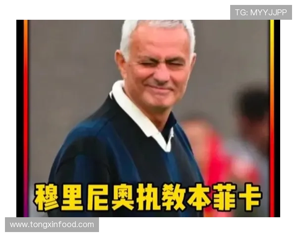 本菲卡再创辉煌全面解析球队崛起之路与未来发展蓝图