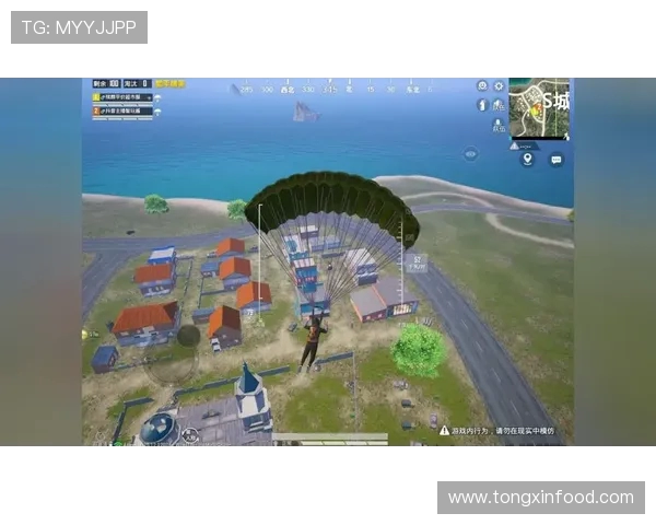 和平精英巨献：深入解析WE战队的实力与战术魅力