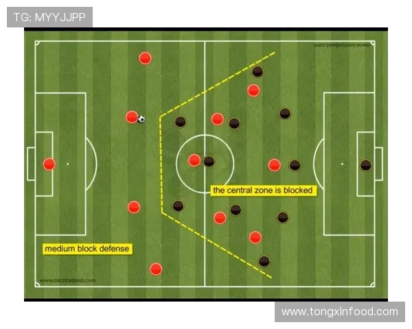 广州乒乓球队配合表现的数据分析与战术探讨 广州乒乓球队配合表现的数据分析与战术探讨