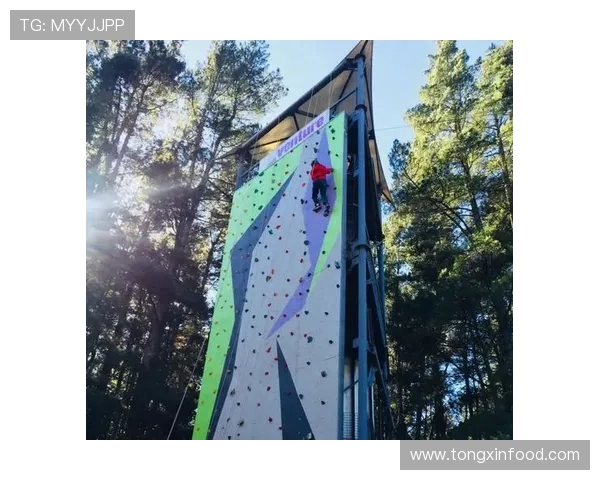 攀岩女神陈娜的成功秘诀与心路历程深度揭秘