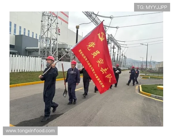 深入分析北京极限运动队的运营策略与发展模式探讨