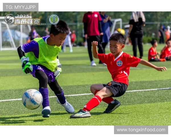 韦恩鲁尼的辉煌足坛历程与从球场少年到传奇巨星的成长之路