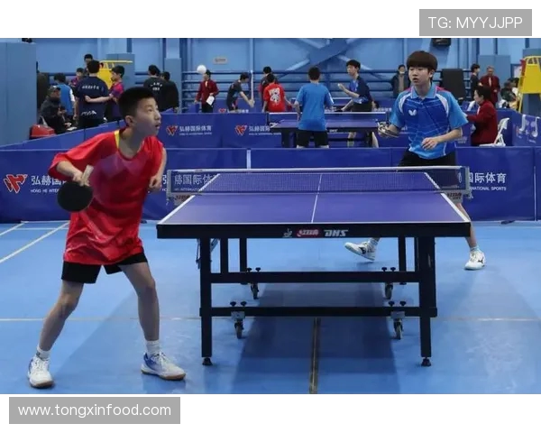 乒乓球运动的魅力与发展探析从全民健身到国际竞技的全面研究