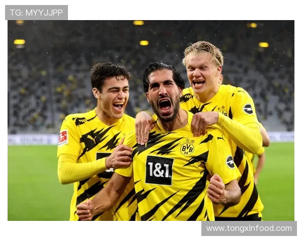 勒沃库森与多特蒙德比赛前瞻及胜负预测分析