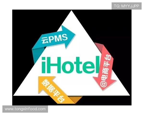 尼克斯黑马之谜：布伦森与OG组合展现联盟最高净效率之路