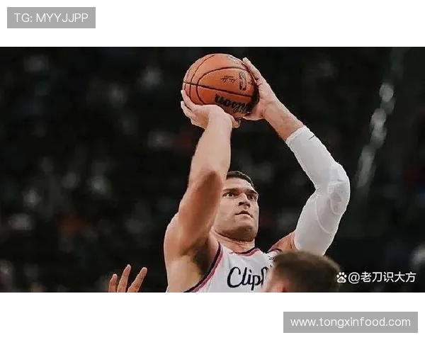布鲁克洛佩斯:从篮球新星到NBA传奇中锋的辉煌之路